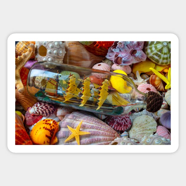 Ship In A Bottle On Seashells Sticker by photogarry